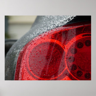 Poster Uma Visão Rara