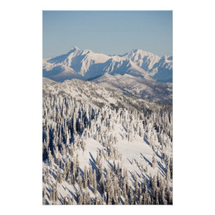 Póster Uma vista cénico de montanhas nevado e de árvore
