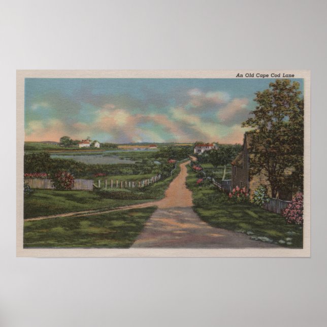 Póster Uma Vista de uma Velha Rua do Cape Cod (Frente)