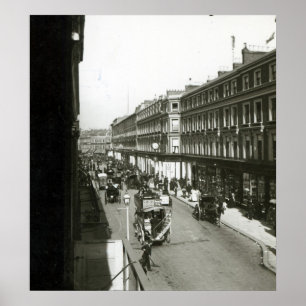 Póster Uma vista do bosque de Westbourne, Londres