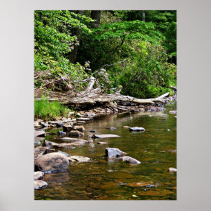 Póster Uma vista do rio de Greenbrier