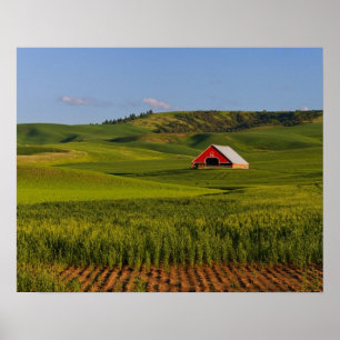 Póster Uma vista panorâmica de um celeiro em Moscow Idaho
