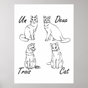 Poster Un Deux Trois Cat Funny French