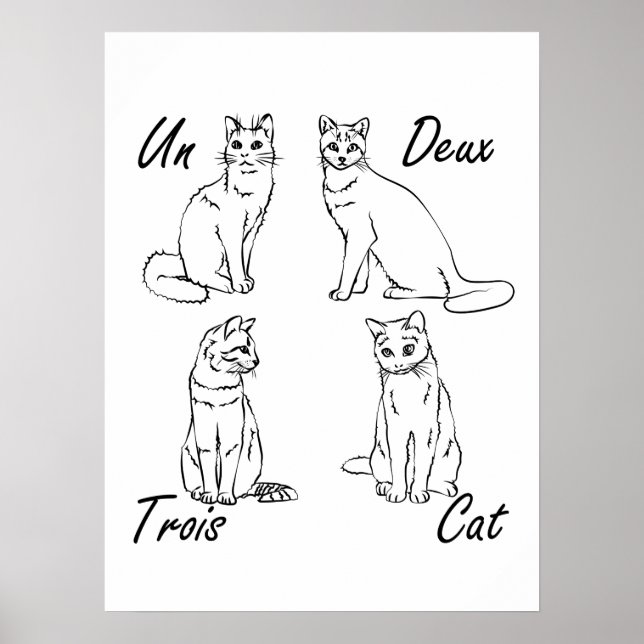 Poster Un Deux Trois Cat Funny French (Frente)