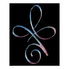 Póster Unconditional Love 1