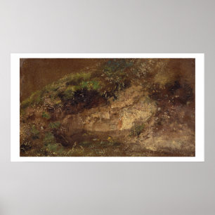 Póster Undergrowth, c.1821 (óleo no papel a bordo)