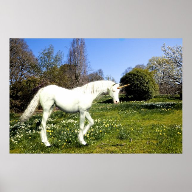 Poster Unicorn (Frente)