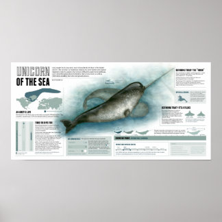 Póster Unicórnio do Mar