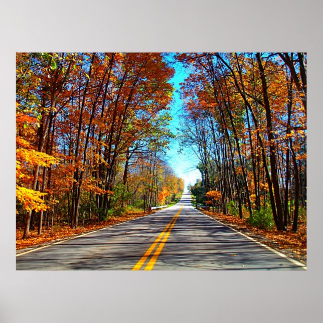 Póster Unidade Censônica (Frente)