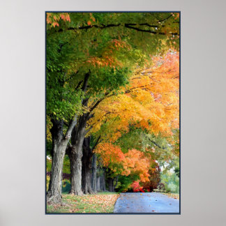 Póster Unidade de outono