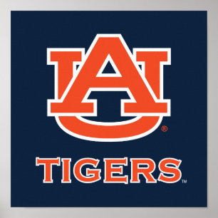 Poster Universidade Auburn   Auburn