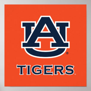 Poster Universidade Auburn   Auburn
