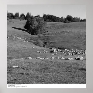 Poster Universidade da Califórnia, Papais noeis Cruz, 196