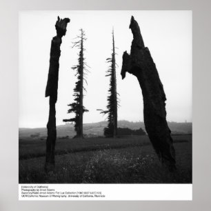 Póster Universidade da Califórnia por Ansel Adams