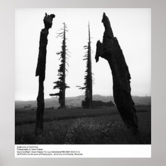 Póster Universidade da Califórnia por Ansel Adams
