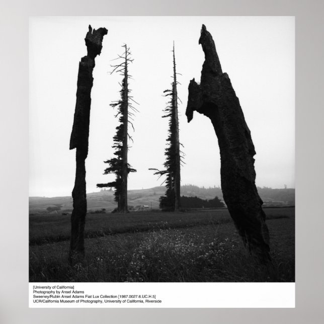 Póster Universidade da Califórnia por Ansel Adams (Frente)