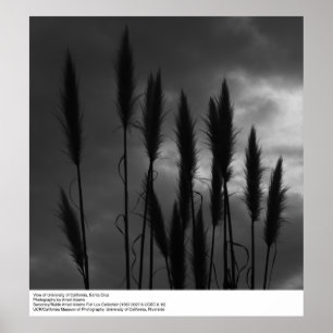 Poster Universidade da Califórnia, Santa Cruz, Ansel