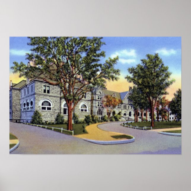 Póster Universidade de Nova Orleans Louisiana Tulane (Frente)