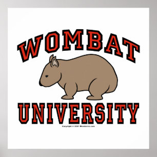 Póster Universidade de Wombat