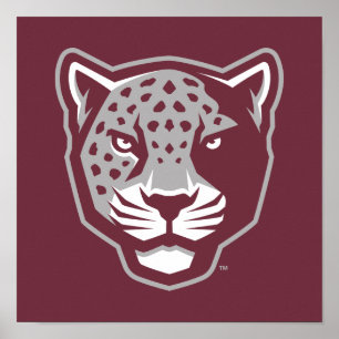 Poster Universidade do Texas A&M - San Antonio Jaguares