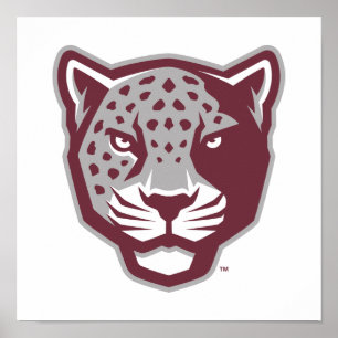 Poster Universidade do Texas A&M - San Antonio Jaguares