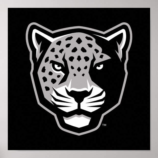 Poster Universidade do Texas A&M - San Antonio | Jaguares (Frente)