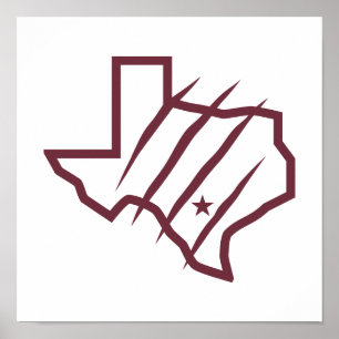 Poster Universidade do Texas A&M - San Antonio Logotipo