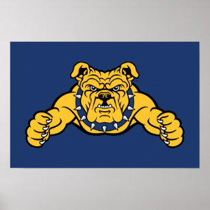 Poster Universidade Estadual da Carolina do Norte A&T B