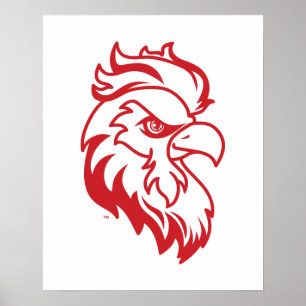 Poster Universidade Estadual de Jacksonville Gamecocks Jo
