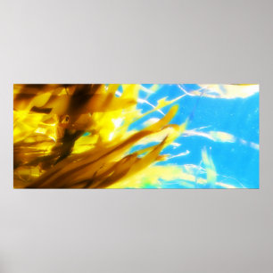 Póster Untitled