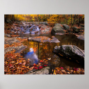 Poster Upper Whiteoak Falls, Parque Nacional de Shenandoa