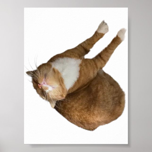 Poster Upside-Down Sunshine (Frente)