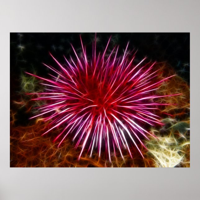 Póster Urchin Roxo (Frente)