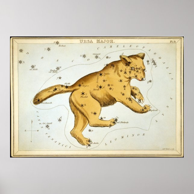 Poster Ursa Major (Frente)