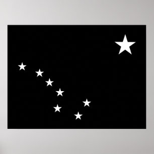 Poster Ursa Negra e Branca