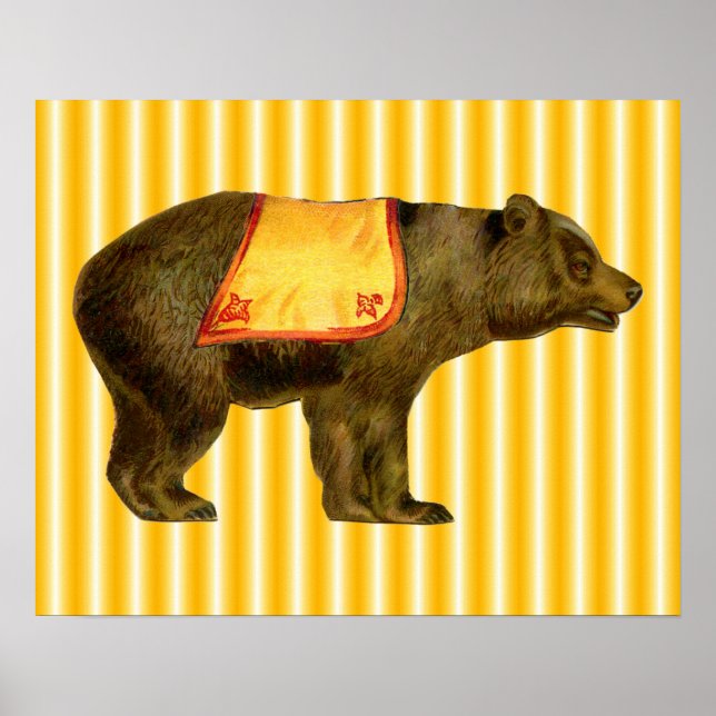 Póster ursinho-circo vintage (Frente)
