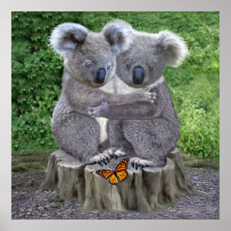 Poster Ursinho Koala Abraçadinhos