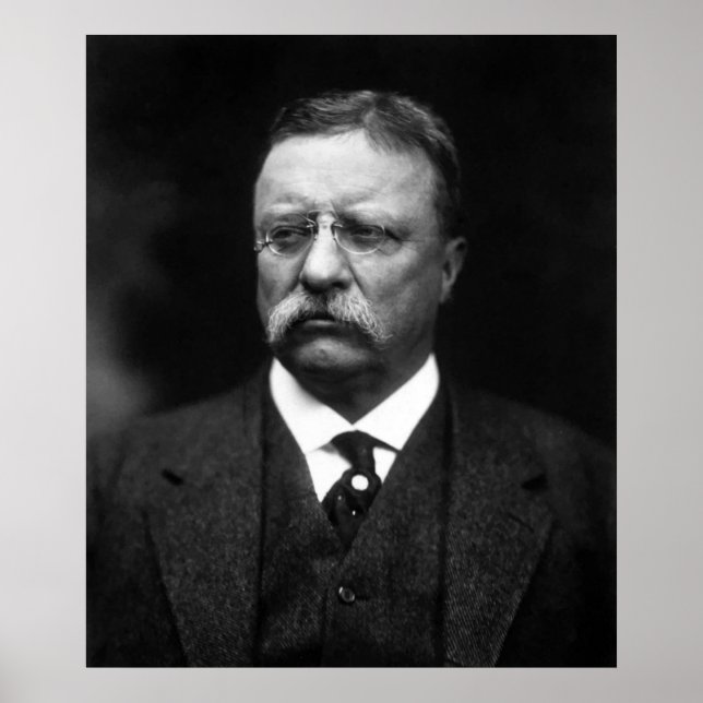 Póster Ursinho Roosevelt (Frente)