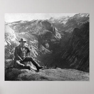 Poster Ursinho Roosevelt - Yosemite Circa 1903