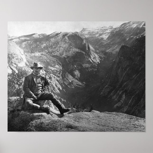 Poster Ursinho Roosevelt - Yosemite Circa 1903 (Frente)