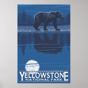 Póster Urso à Lua - Parque Nacional Yellowstone