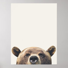 Poster Urso Animal