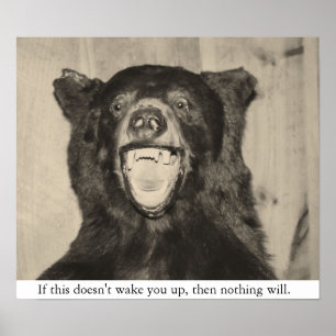 Póster Urso assustador