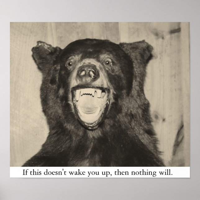 Póster Urso Assustador (Frente)