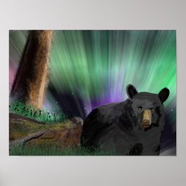 Póster urso aurora