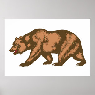 Póster Urso de Califórnia