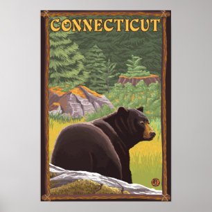 Poster Urso de ConnecticutBlack na floresta