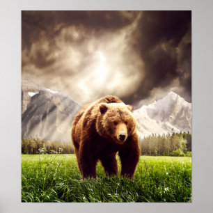 Poster Urso de Montanha