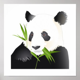 Poster Urso de panda