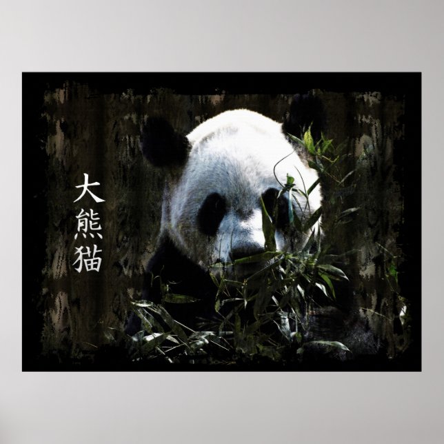 Poster Urso de Panda Gigante e Bonito com Folhas de Bambu (Frente)
